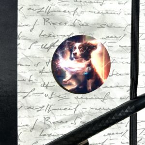 Magnes - MAGIC DOG